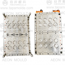 21077 16 cavities handle mould