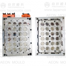21085  24 cavities  thin wall mould cap mould